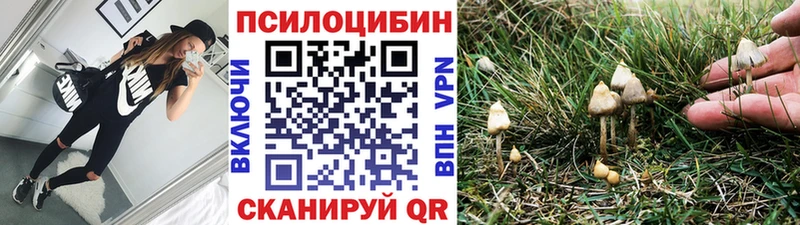 купить наркоту  Железногорск  Псилоцибиновые грибы GOLDEN TEACHER 